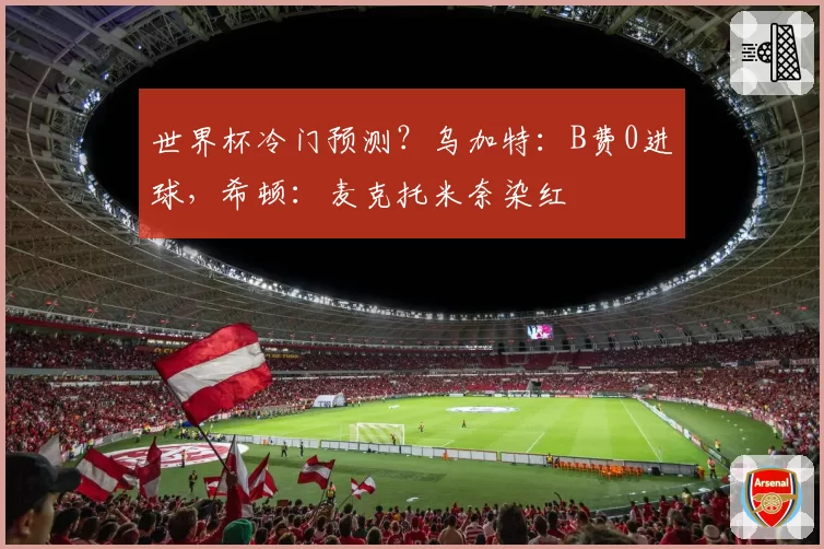 世界杯冷门预测?乌加特:B费0进球,希顿:麦克托米奈染红