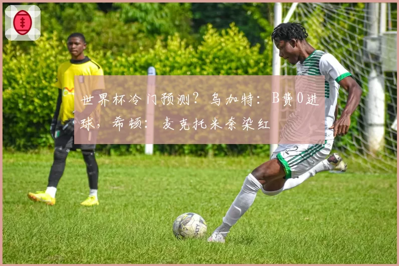 世界杯冷门预测？乌加特：B费0进球，希顿：麦克托米奈染红